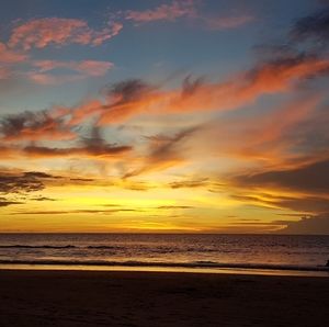 Meet your Posher, Toni